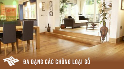 Banner phải 2